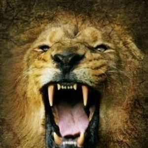 Meet your Posher, Marvin